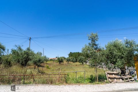Helårsgrund i Pombal, Leiria, Pombal - € 48.000 | Ref: 707/2024 - foto 6