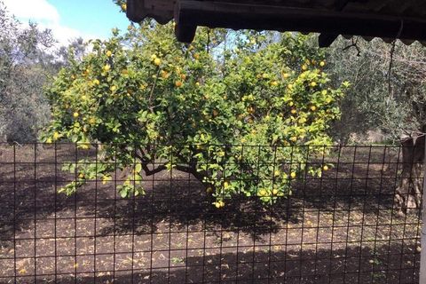 Villa i Melilli, Siracusa, Melilli - € 145.000 | Ref: IA6019 - foto 38