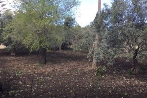 Villa i Melilli, Siracusa, Melilli - € 145.000 | Ref: IA6019 - foto 40