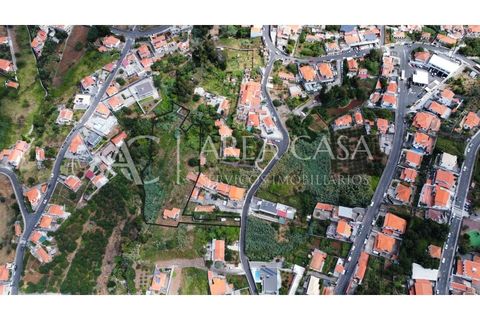 Terra a Sao Roque, Madeira, Sao Roque - € 1.150.000 | Ref: TER_104 - foto 2
