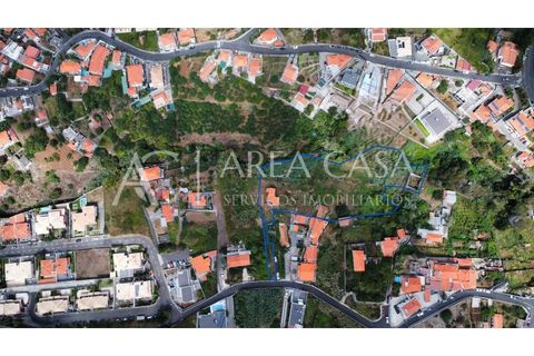 Terra a Sao Roque, Madeira, Sao Roque - € 1.150.000 | Ref: TER_104 - foto 3