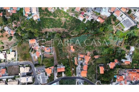 Terra a Sao Roque, Madeira, Sao Roque - € 1.150.000 | Ref: TER_104 - foto 6