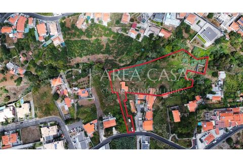 Terra a Sao Roque, Madeira, Sao Roque - € 1.150.000 | Ref: TER_104 - foto 7