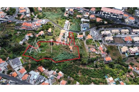 Terra a Sao Roque, Madeira, Sao Roque - € 1.150.000 | Ref: TER_104 - foto 8
