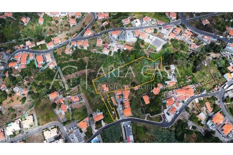 Terra a Sao Roque, Madeira, Sao Roque - € 1.150.000 | Ref: TER_104 - foto 9
