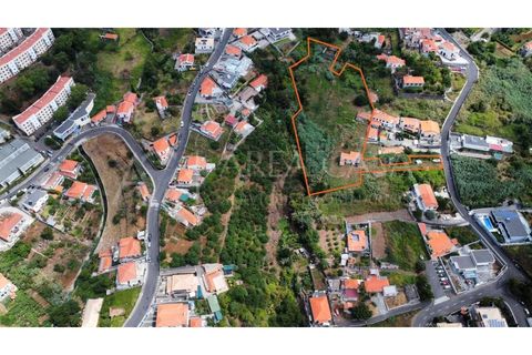 Terra a Sao Roque, Madeira, Sao Roque - € 1.150.000 | Ref: TER_104 - foto 10