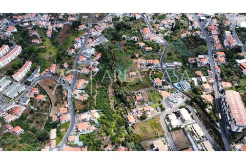 Terra a Sao Roque, Madeira, Sao Roque - € 1.150.000 | Ref: TER_104 - foto 12