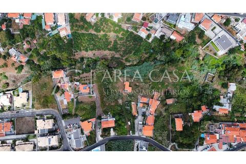 Terra a Sao Roque, Madeira, Sao Roque - € 1.150.000 | Ref: TER_104 - foto 13