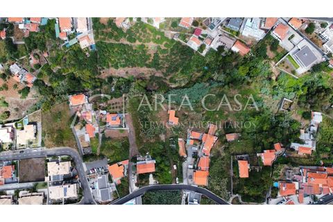 Terra a Sao Roque, Madeira, Sao Roque - € 1.150.000 | Ref: TER_104 - foto 14