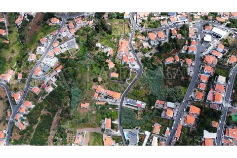 Terra a Sao Roque, Madeira, Sao Roque - € 1.150.000 | Ref: TER_104 - foto 16