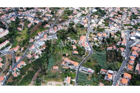 Terra a Sao Roque, Madeira, Sao Roque - € 1.150.000 | Ref: TER_104 - foto 18