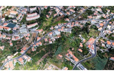 Terra a Sao Roque, Madeira, Sao Roque - € 1.150.000 | Ref: TER_104 - foto 20