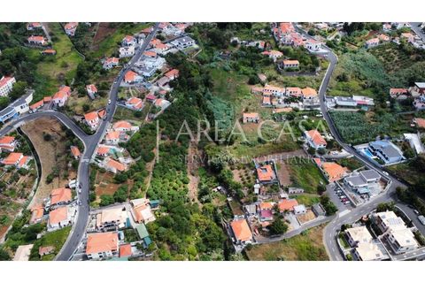 Terra a Sao Roque, Madeira, Sao Roque - € 1.150.000 | Ref: TER_104 - foto 21