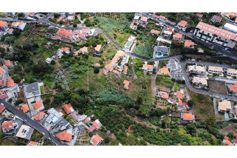 Terra a Sao Roque, Madeira, Sao Roque - € 1.150.000 | Ref: TER_104 - foto 22