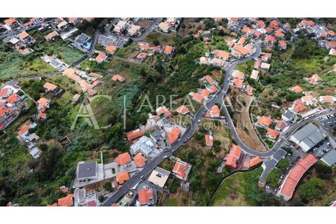 Terra a Sao Roque, Madeira, Sao Roque - € 1.150.000 | Ref: TER_104 - foto 23