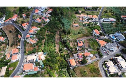 Terra a Sao Roque, Madeira, Sao Roque - € 1.150.000 | Ref: TER_104 - foto 24