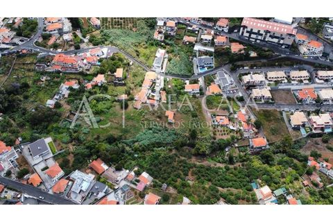 Terra a Sao Roque, Madeira, Sao Roque - € 1.150.000 | Ref: TER_104 - foto 25