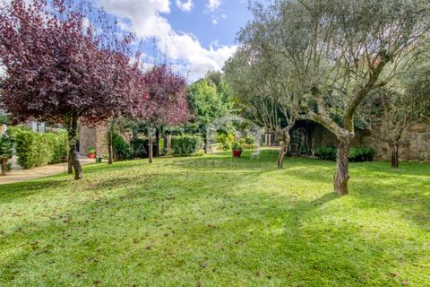 Farm i Briteiros, Braga, Briteiros - € 3.800.000 | Ref: MAS_563 - foto 7