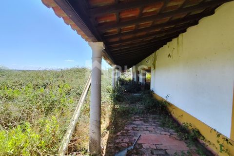 Erhvervsejendom i Coruche, Santarem, Coruche - € 574.750 | Ref: MTJ_ESP_62817 - foto 7