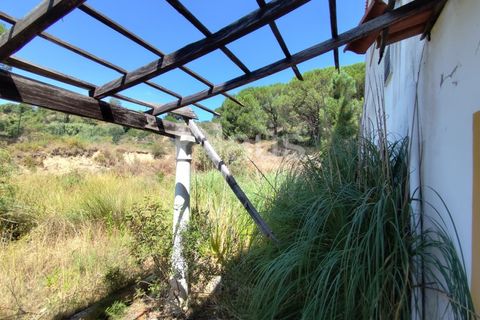 Erhvervsejendom i Coruche, Santarem, Coruche - € 574.750 | Ref: MTJ_ESP_62817 - foto 8