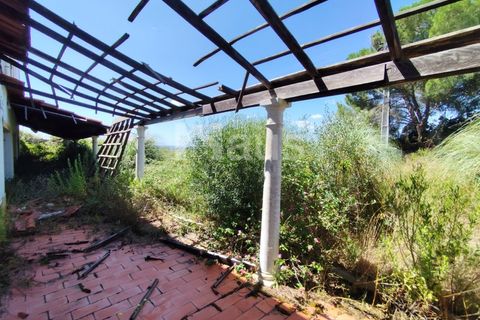 Erhvervsejendom i Coruche, Santarem, Coruche - € 574.750 | Ref: MTJ_ESP_62817 - foto 10