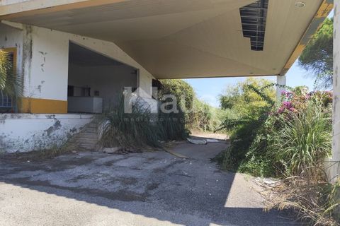 Erhvervsejendom i Coruche, Santarem, Coruche - € 574.750 | Ref: MTJ_ESP_62817 - foto 21