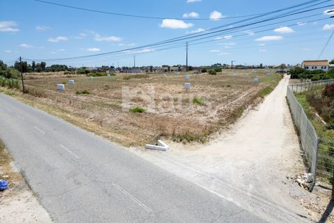 Helårsgrund i Alcochete, Setubal, Alcochete - € 640.000 | Ref: MTJ_TER_62816 - foto 3