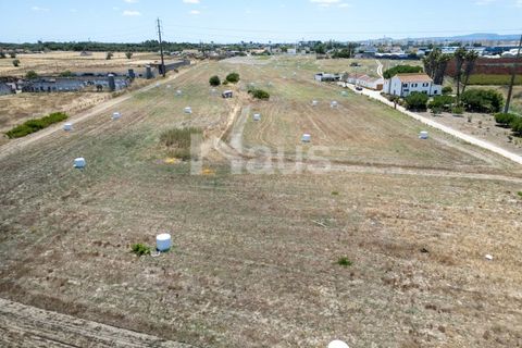 Helårsgrund i Alcochete, Setubal, Alcochete - € 640.000 | Ref: MTJ_TER_62816 - foto 4