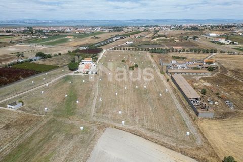 Helårsgrund i Alcochete, Setubal, Alcochete - € 640.000 | Ref: MTJ_TER_62816 - foto 5