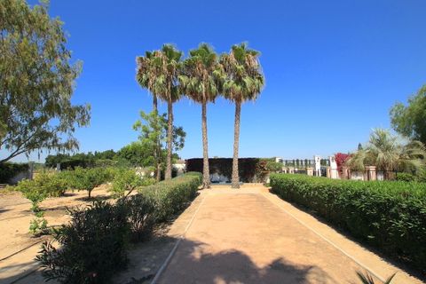 Finca i Daya Vieja, Alicante - foto 2