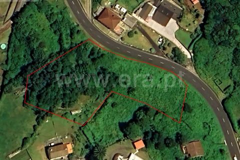 Terra a Horta, Faial, Horta - € 19.500 | Ref: 374240210 - foto 2