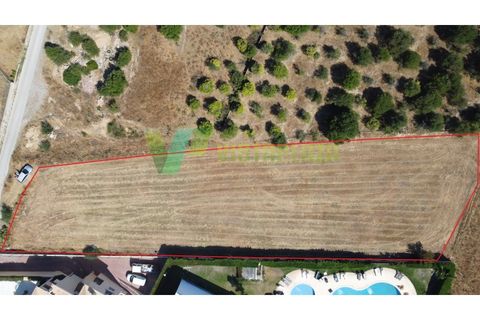 Helårsgrund i Albufeira, Faro, Albufeira - € 670.000 | Ref: LT-6555 - foto 4