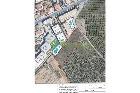 Helårsgrund i Albufeira, Faro, Albufeira - € 670.000 | Ref: LT-6555 - foto 5
