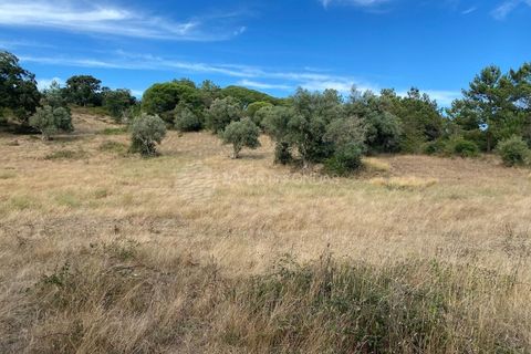 Terra a Sesimbra, Setubal, Sesimbra - € 315.000 | Ref: SC-934 - foto 3
