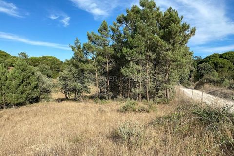 Terra a Sesimbra, Setubal, Sesimbra - € 315.000 | Ref: SC-934 - foto 2