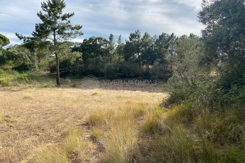 Terra a Sesimbra, Setubal, Sesimbra - € 315.000 | Ref: SC-934 - foto 5
