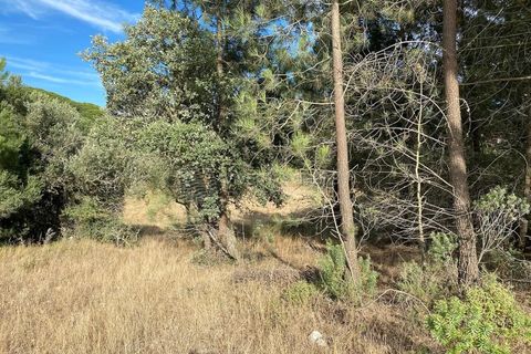 Terra a Sesimbra, Setubal, Sesimbra - € 315.000 | Ref: SC-934 - foto 6