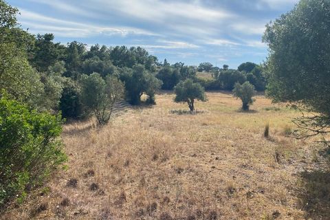 Terra a Sesimbra, Setubal, Sesimbra - € 315.000 | Ref: SC-934 - foto 7