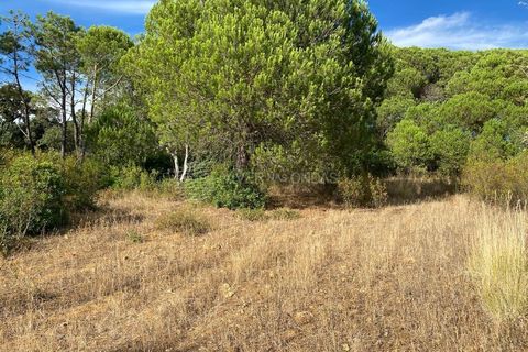 Terra a Sesimbra, Setubal, Sesimbra - € 315.000 | Ref: SC-934 - foto 8