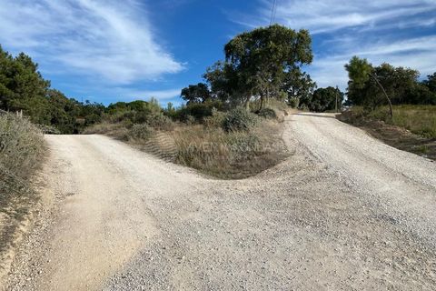 Terra a Sesimbra, Setubal, Sesimbra - € 315.000 | Ref: SC-934 - foto 9