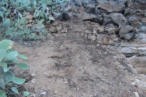 Terra a Arona, Tenerife, Arona - € 320.000 | Ref: 6263 - foto 5