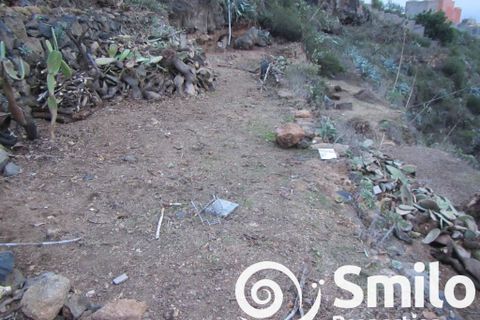 Terra a Arona, Tenerife, Arona - € 320.000 | Ref: 6263 - foto 17