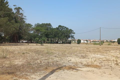 Helårsgrund i Montijo, Setubal, Montijo - € 386.000 | Ref: C0212-03815 - foto 10