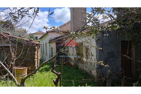 Villa i Castelejo, Castelo Branco, Castelejo - € 100.000 | Ref: M459 - foto 4