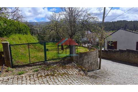 Villa i Castelejo, Castelo Branco, Castelejo - € 100.000 | Ref: M459 - foto 5