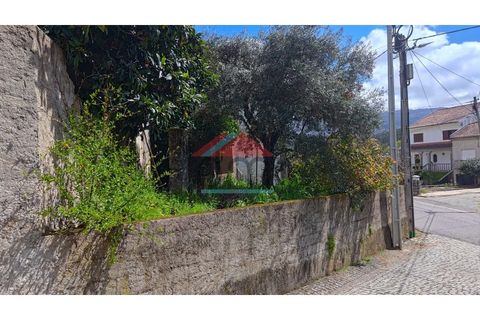 Villa i Castelejo, Castelo Branco, Castelejo - € 100.000 | Ref: M459 - foto 6