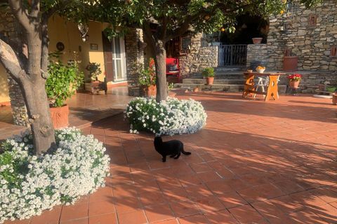 Villa a Alassio, Savona, Alassio - € 2.250.000 | Ref: 5V16 - foto 23