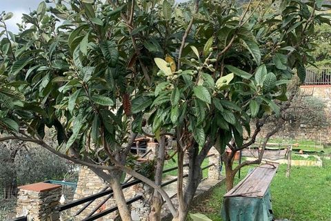 Villa a Alassio, Savona, Alassio - € 2.250.000 | Ref: 5V16 - foto 25