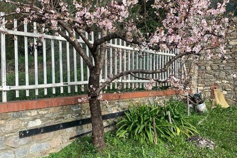 Villa a Alassio, Savona, Alassio - € 2.250.000 | Ref: 5V16 - foto 28