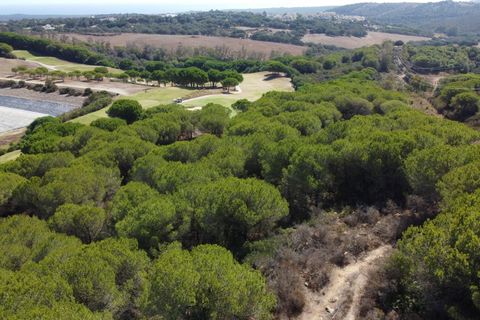Helårsgrund i Sotogrande, Cadiz, Sotogrande - € 3.000.000 | Ref: SPCRM1572 - foto 1